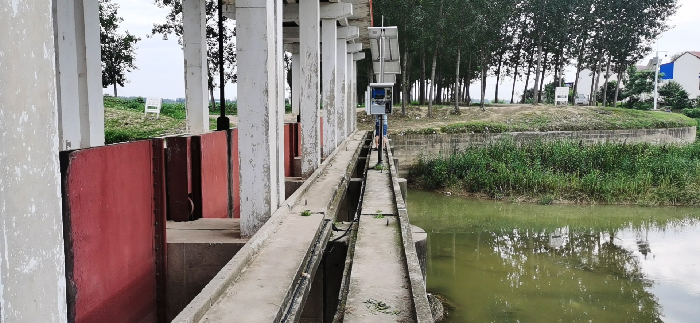 1658223609516520.jpg Q.jpg